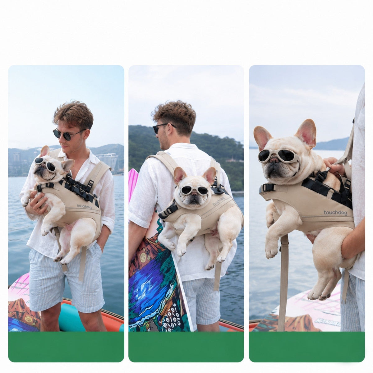 French Bulldog backpack carrier with a reinforced mountaineering-style top handle