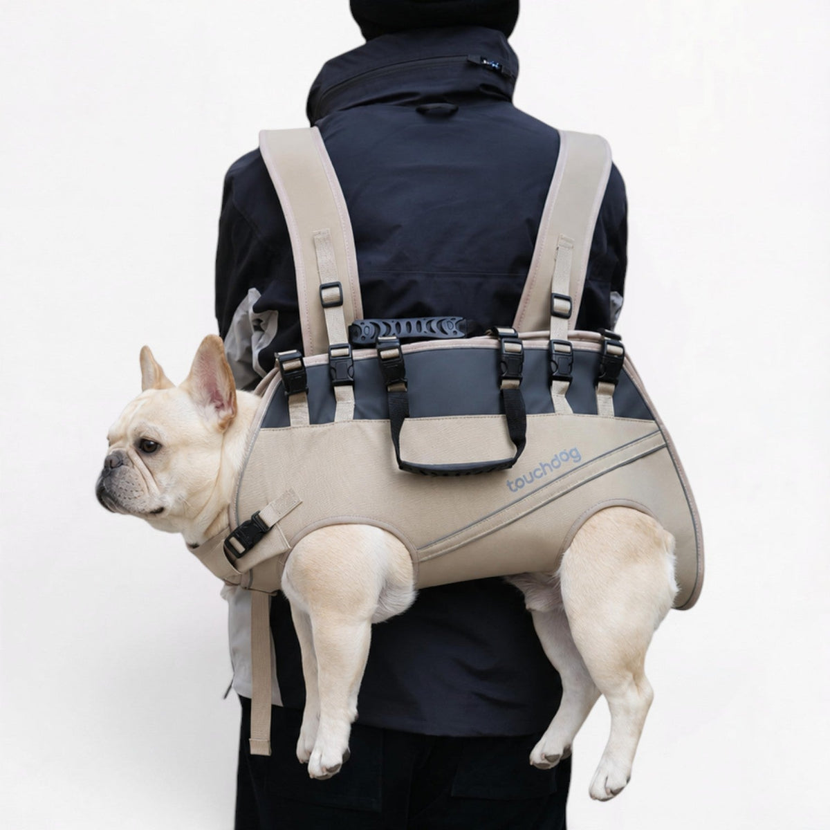 Reflective French Bulldog carrier backpack with protective foam padding inside the shell
