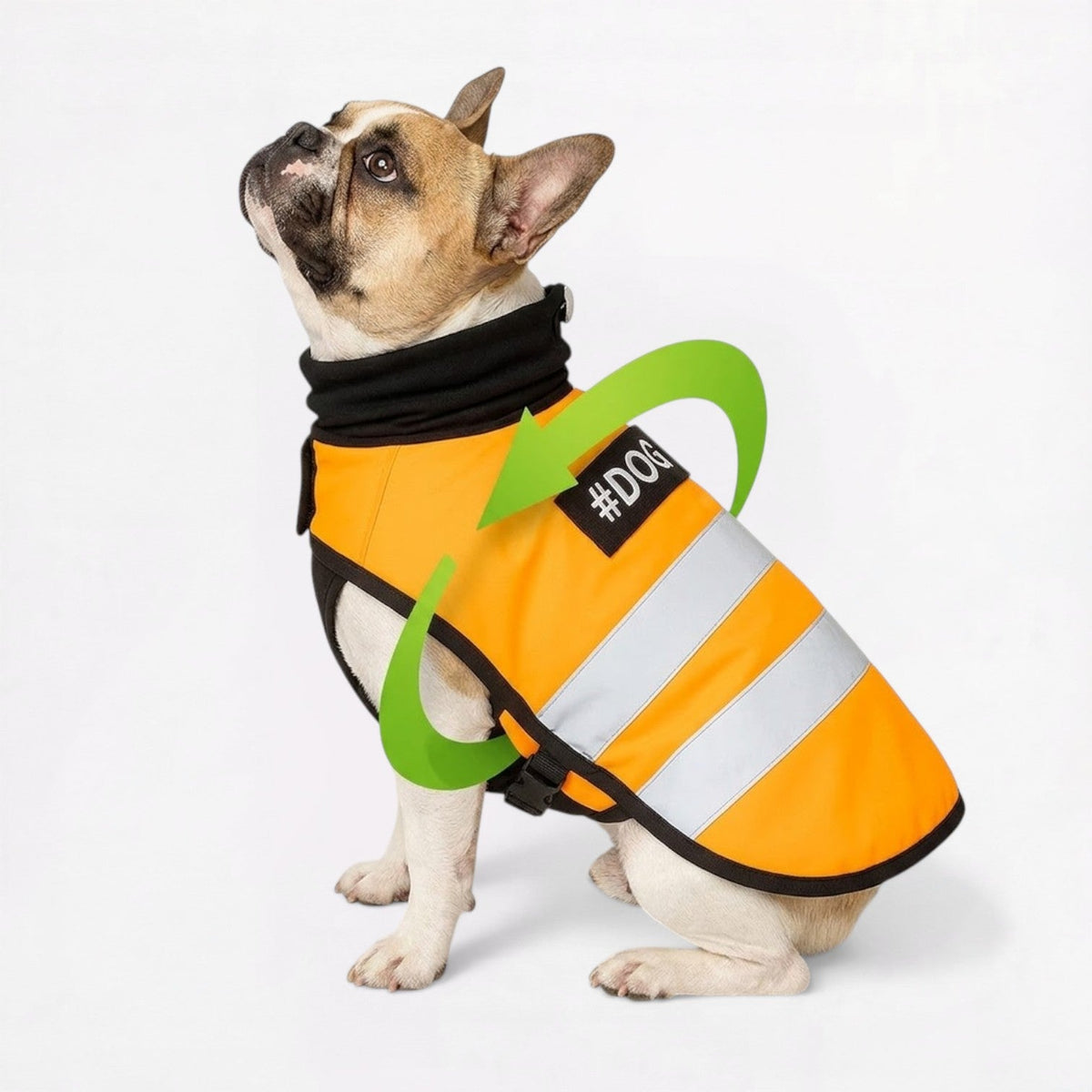 Hi-vis dog vest for French Bulldogs in a bright Yellow base fabric