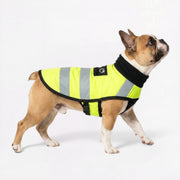 French Bulldog reflective safety vest with high-visibility strips for night walks