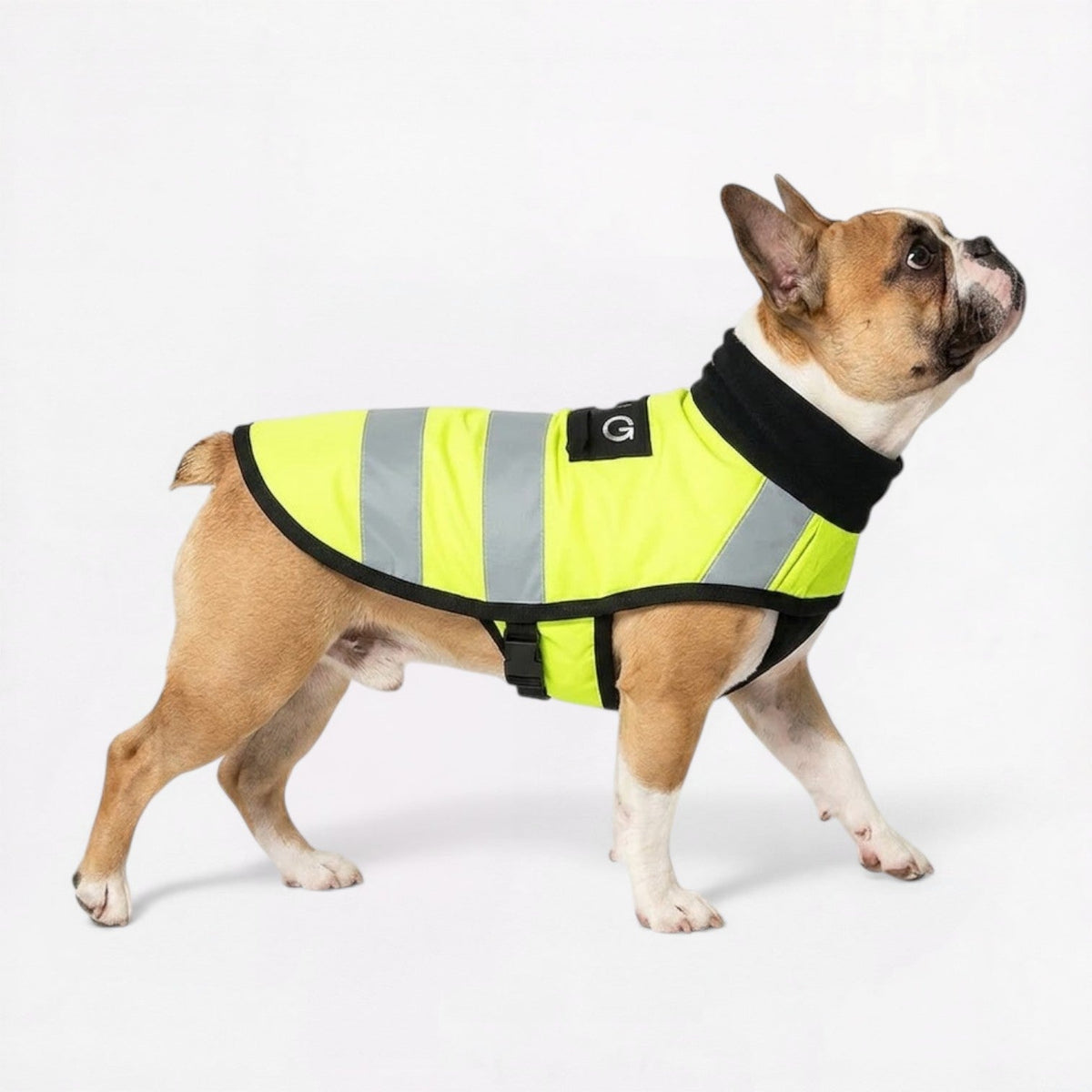 French Bulldog reflective safety vest with high-visibility strips for night walks