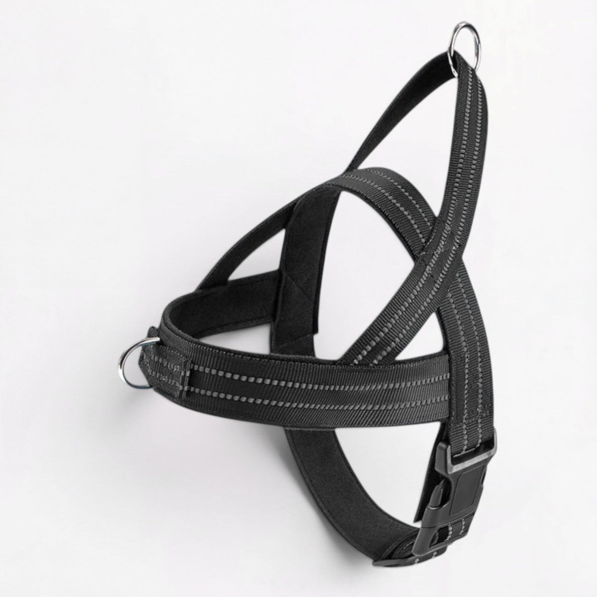 Frenchie harness with reflective fabric detail for darker streets
