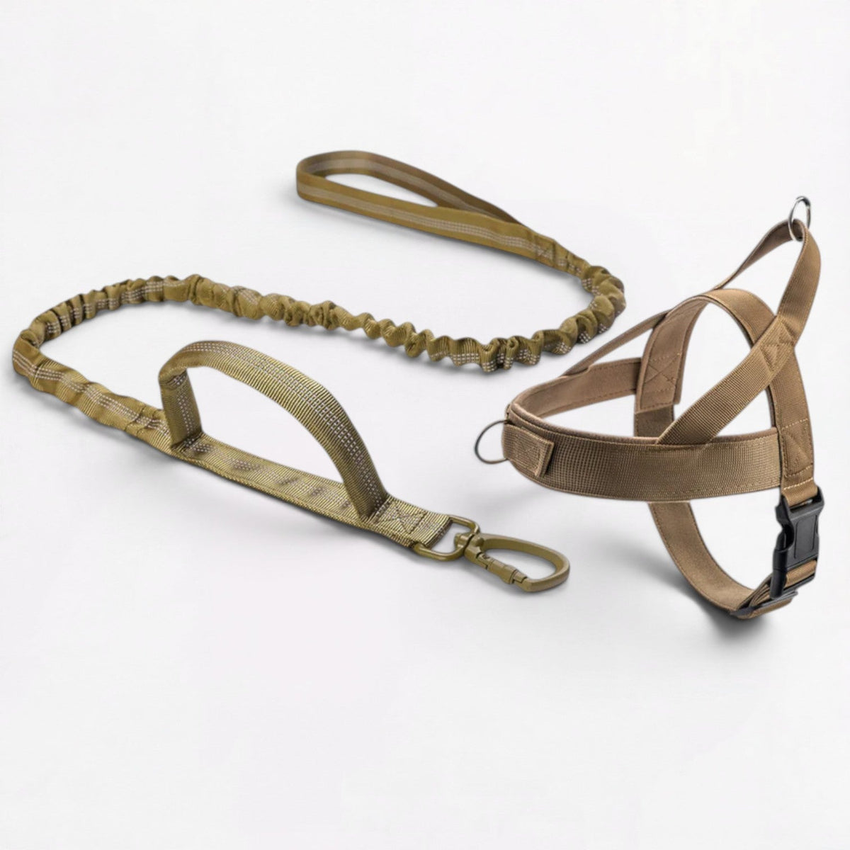 Frenchie harness with straps that adjust around the chest and body