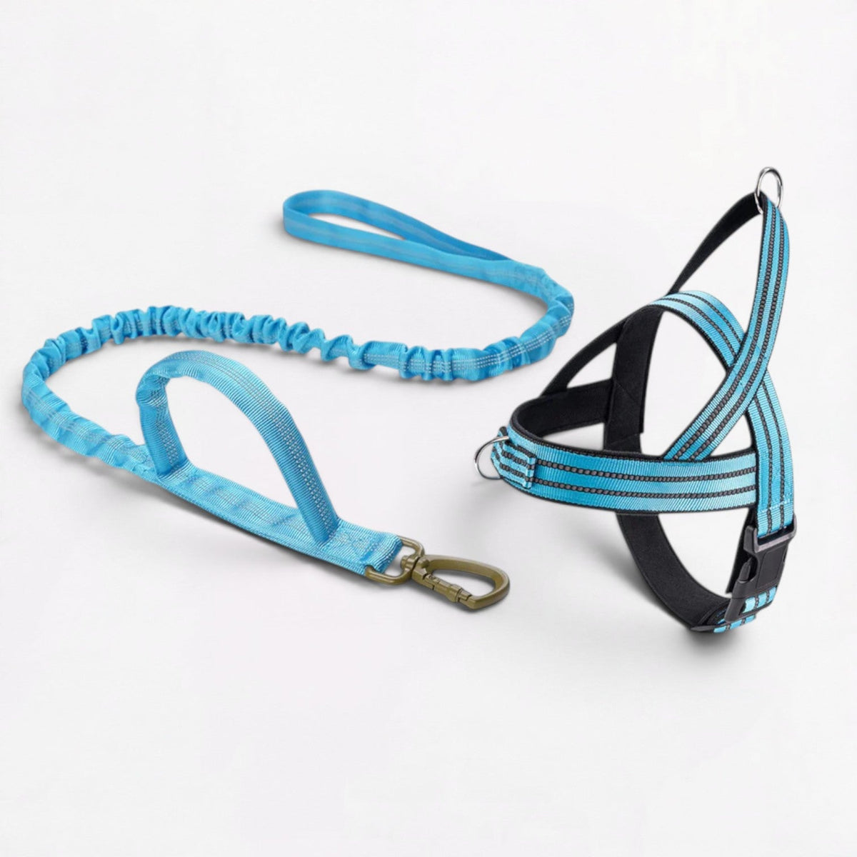 Frenchie checkered leash sold on its own or paired with the harness