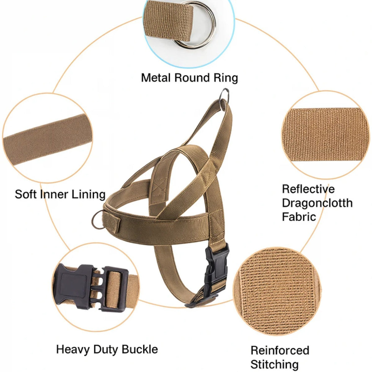 Frenchie harness set with a shock-absorbing bungee lead and a step-in fit