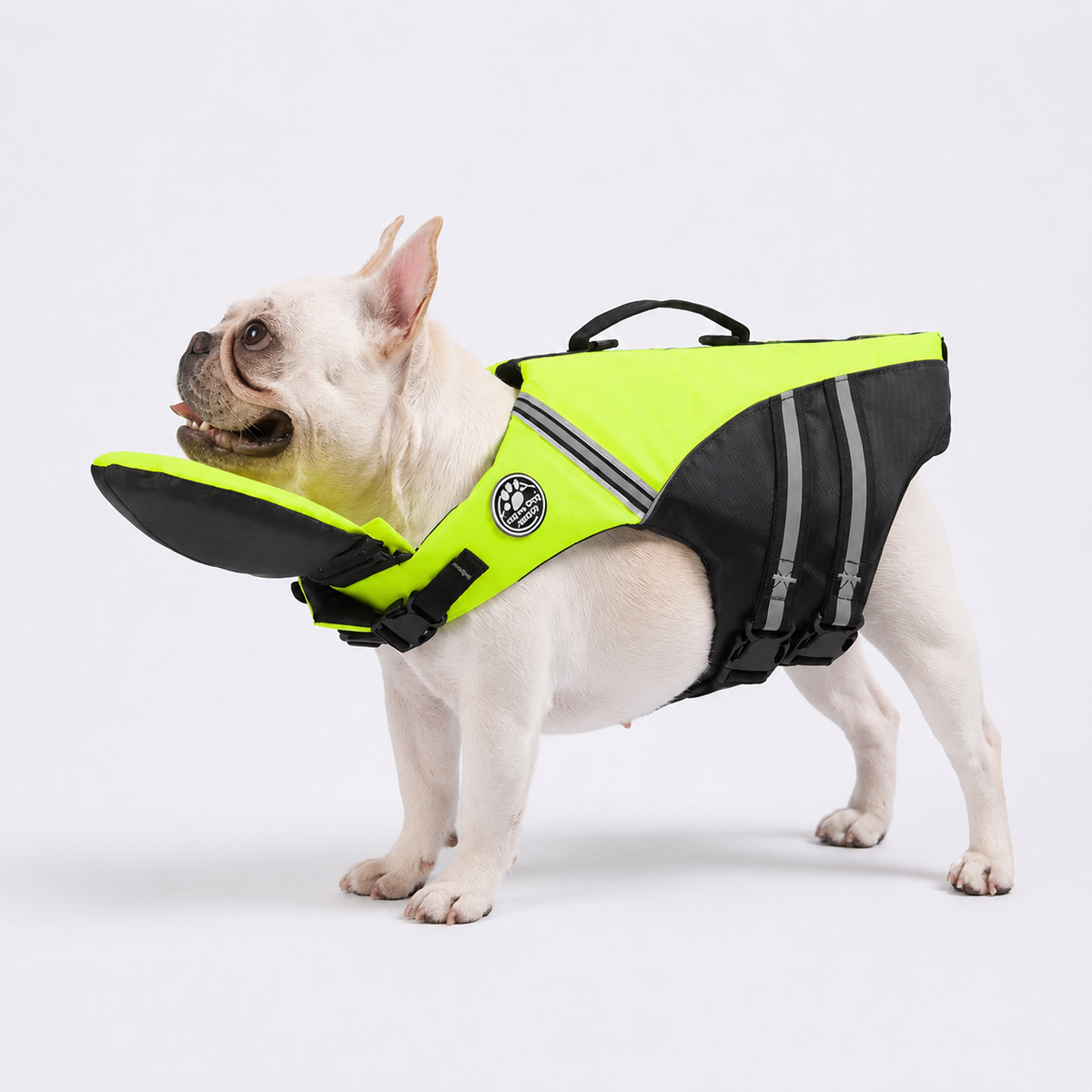 French Bulldog life jacket with a load-bearing rescue handle