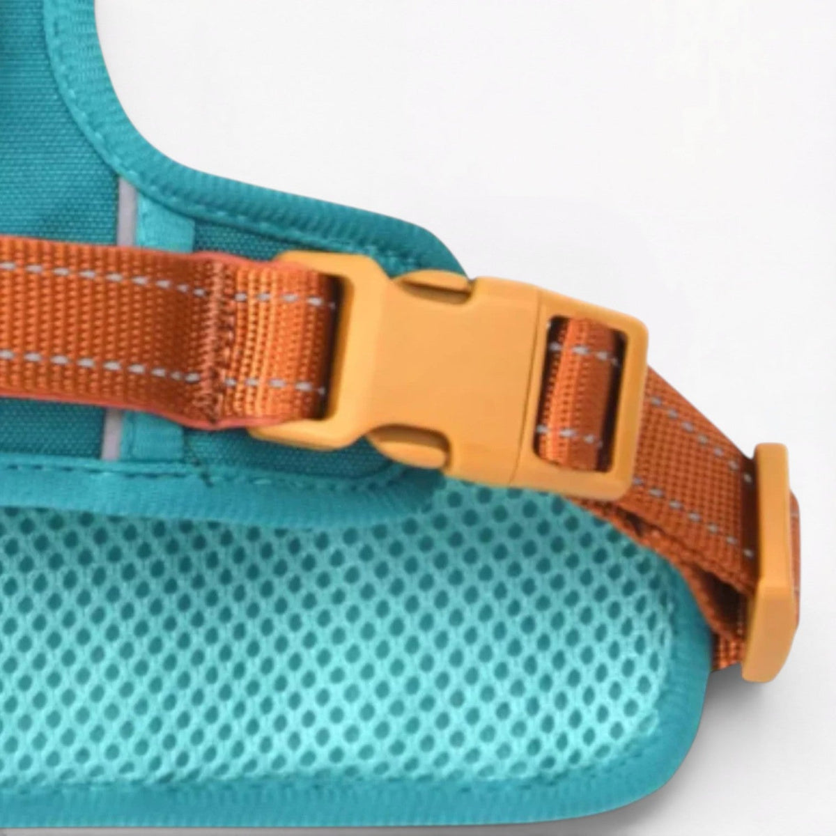 French Bulldog padded harness in Lake Blue