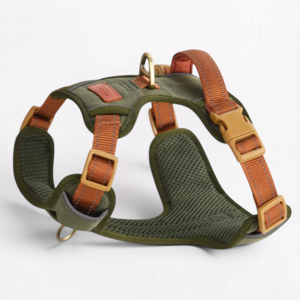 French Bulldog harness with independently adjustable neck and chest straps