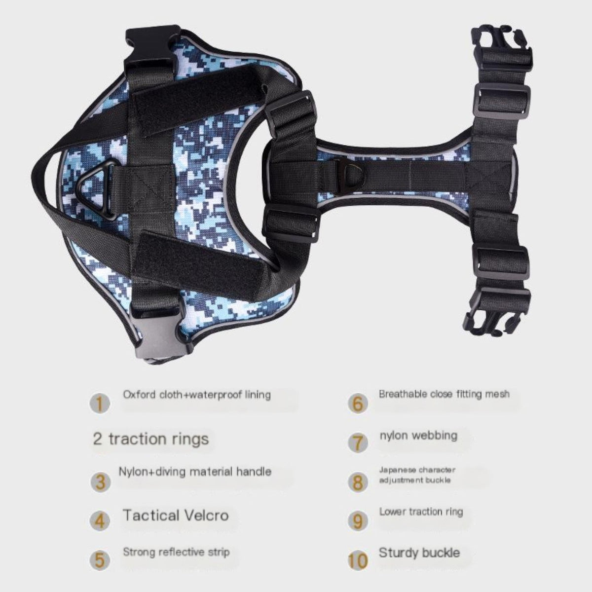 Bungee leash with a padded handle, matched to a French Bulldog tactical harness