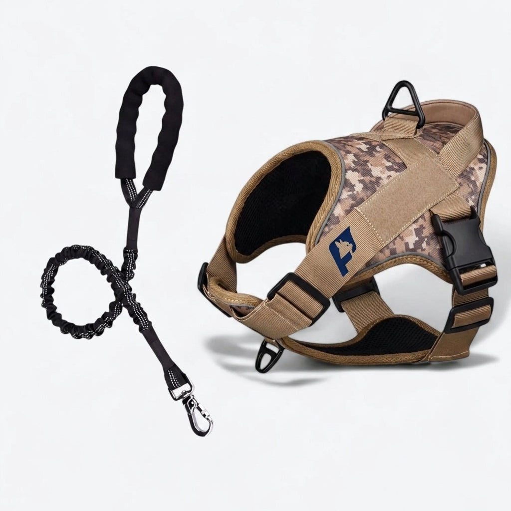Tactical harness for French Bulldogs with a 360 degree build that spreads load