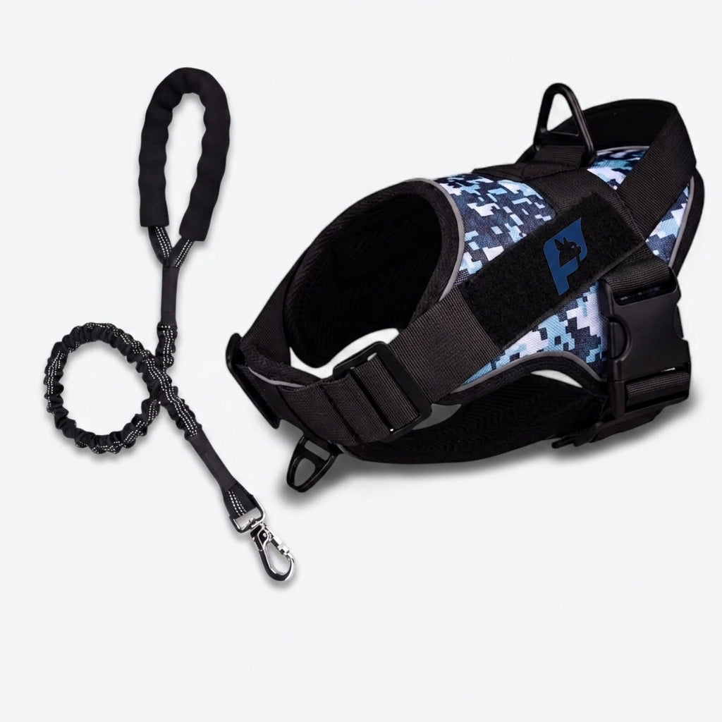 French Bulldog tactical harness with two leash rings for front or back control