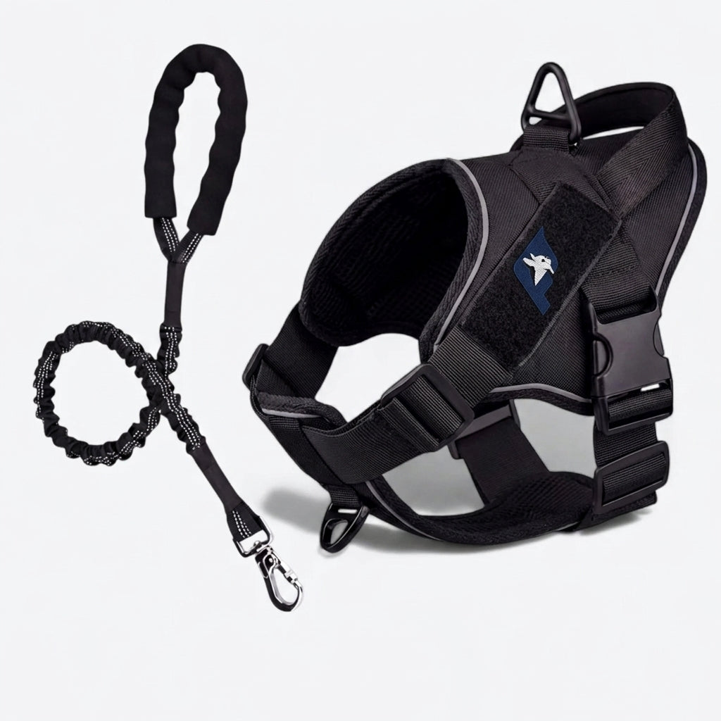 French Bulldog tactical harness with adjustable neck and chest straps