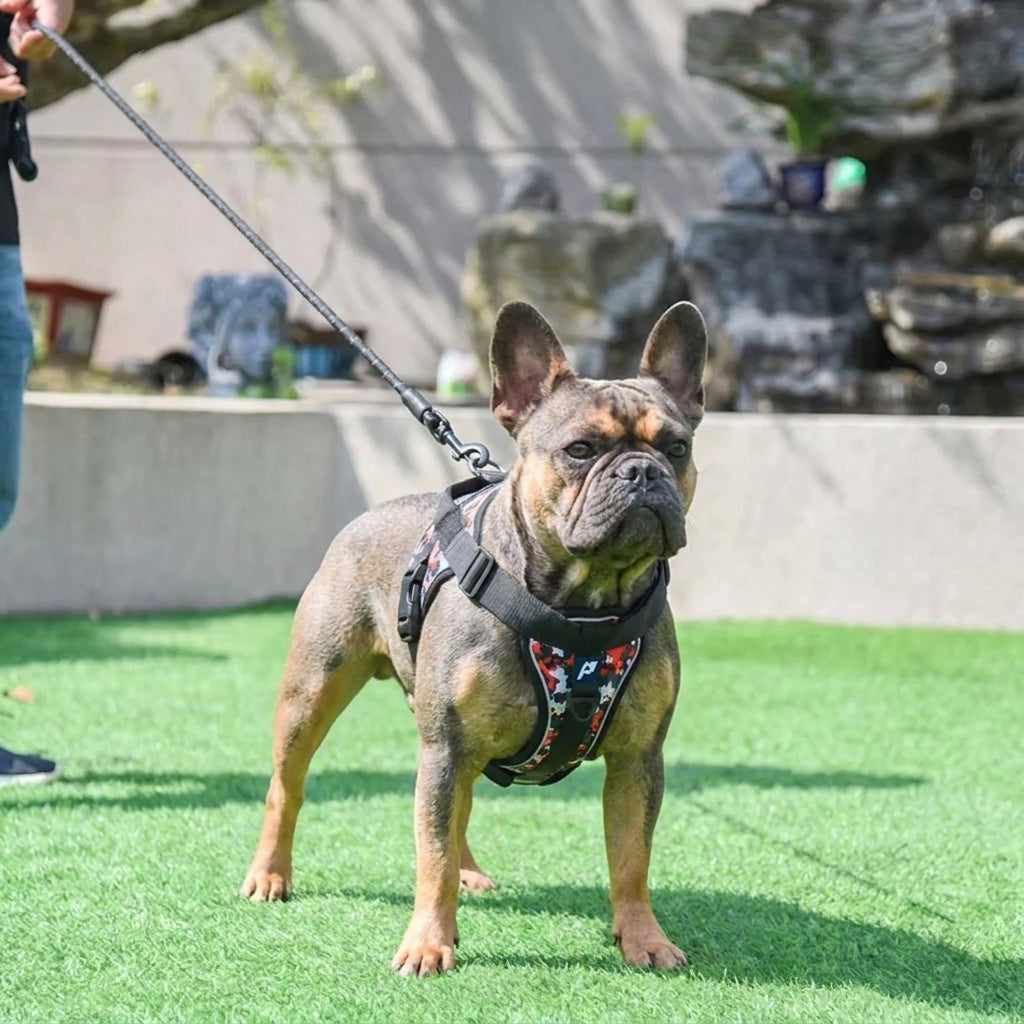 Durable Oxford shell tactical harness for French Bulldogs with reflective trim