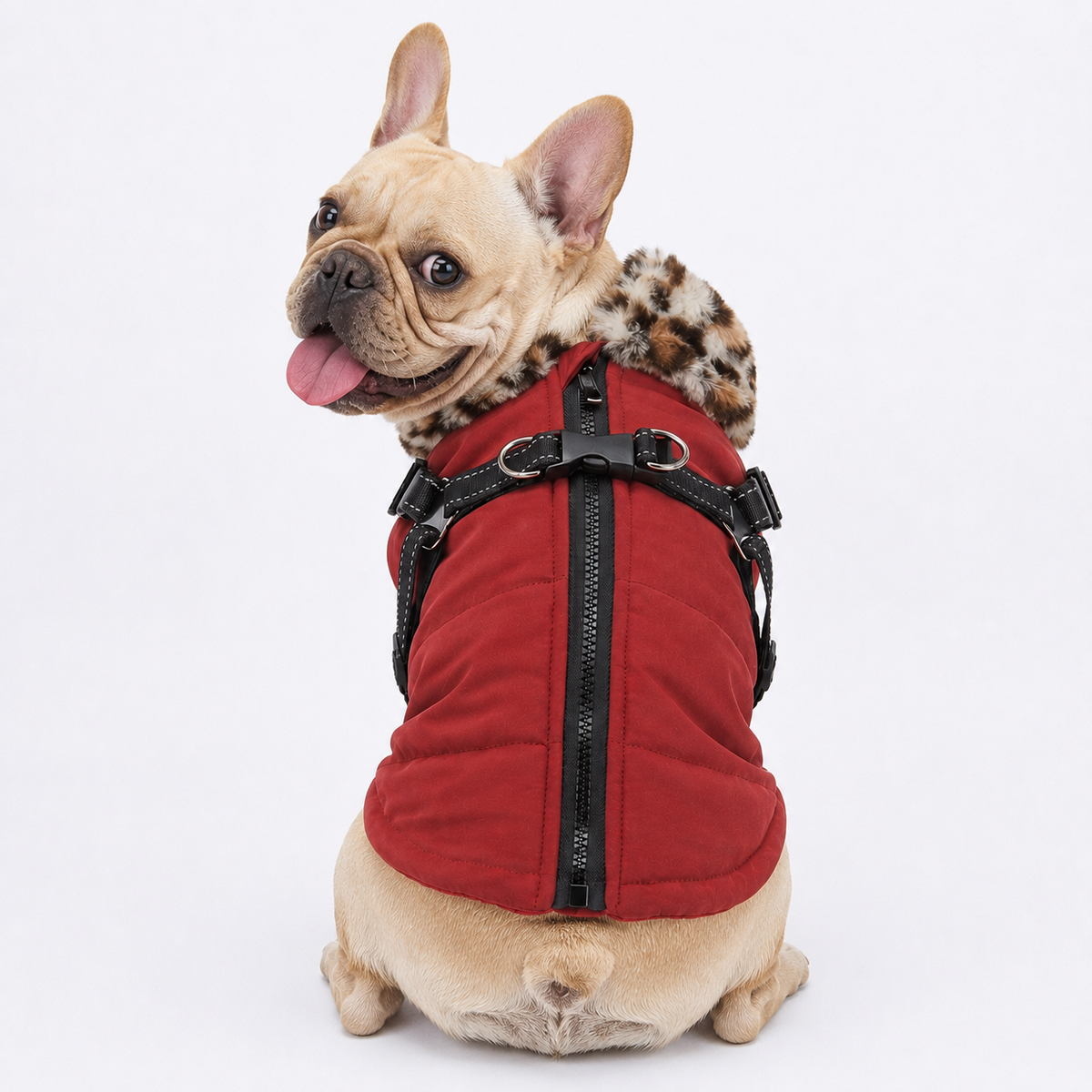 French Bulldog coat with reflective strips and a side pocket