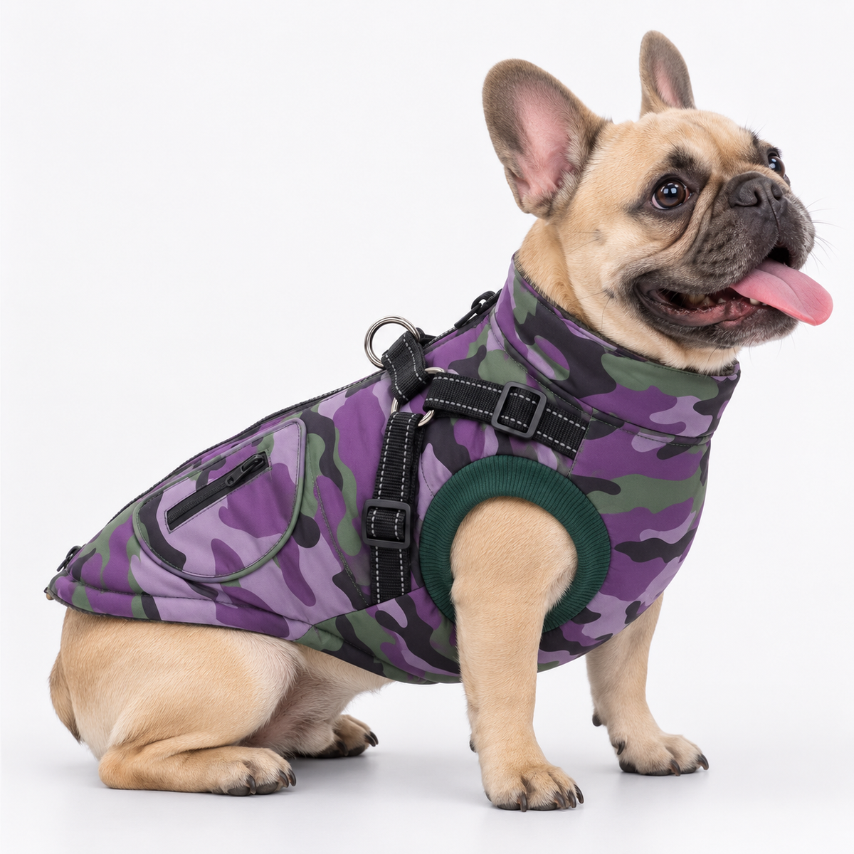 Waterproof French Bulldog winter coat with a harness built in