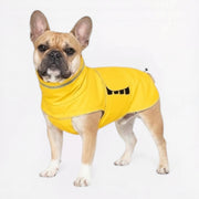 French Bulldog waterproof raincoat with a back zipper for leash access