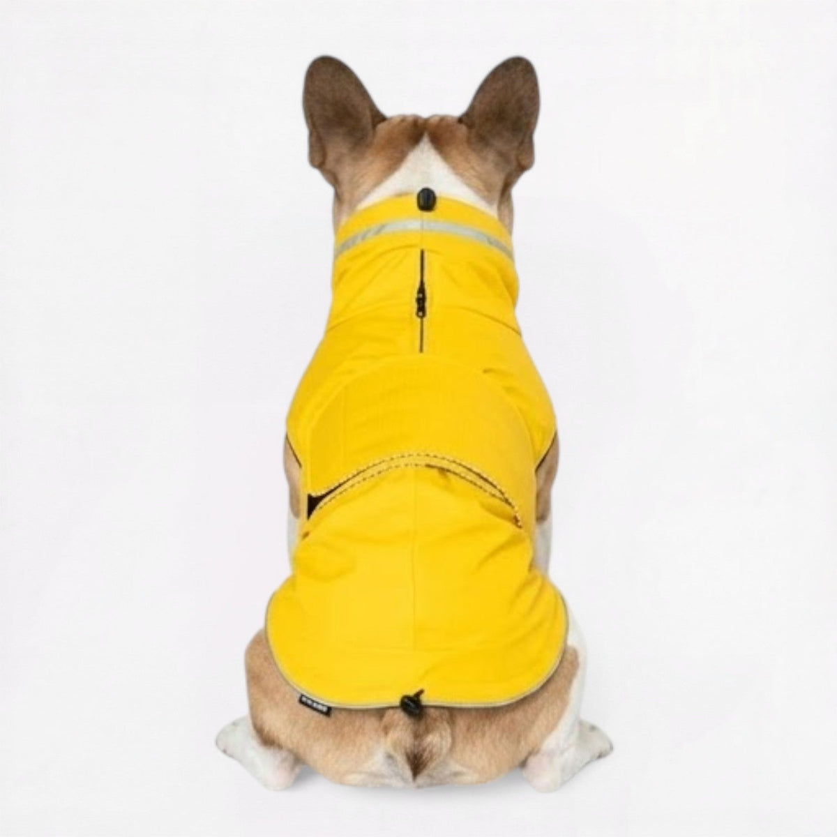 French Bulldog raincoat with a high neck covering the throat