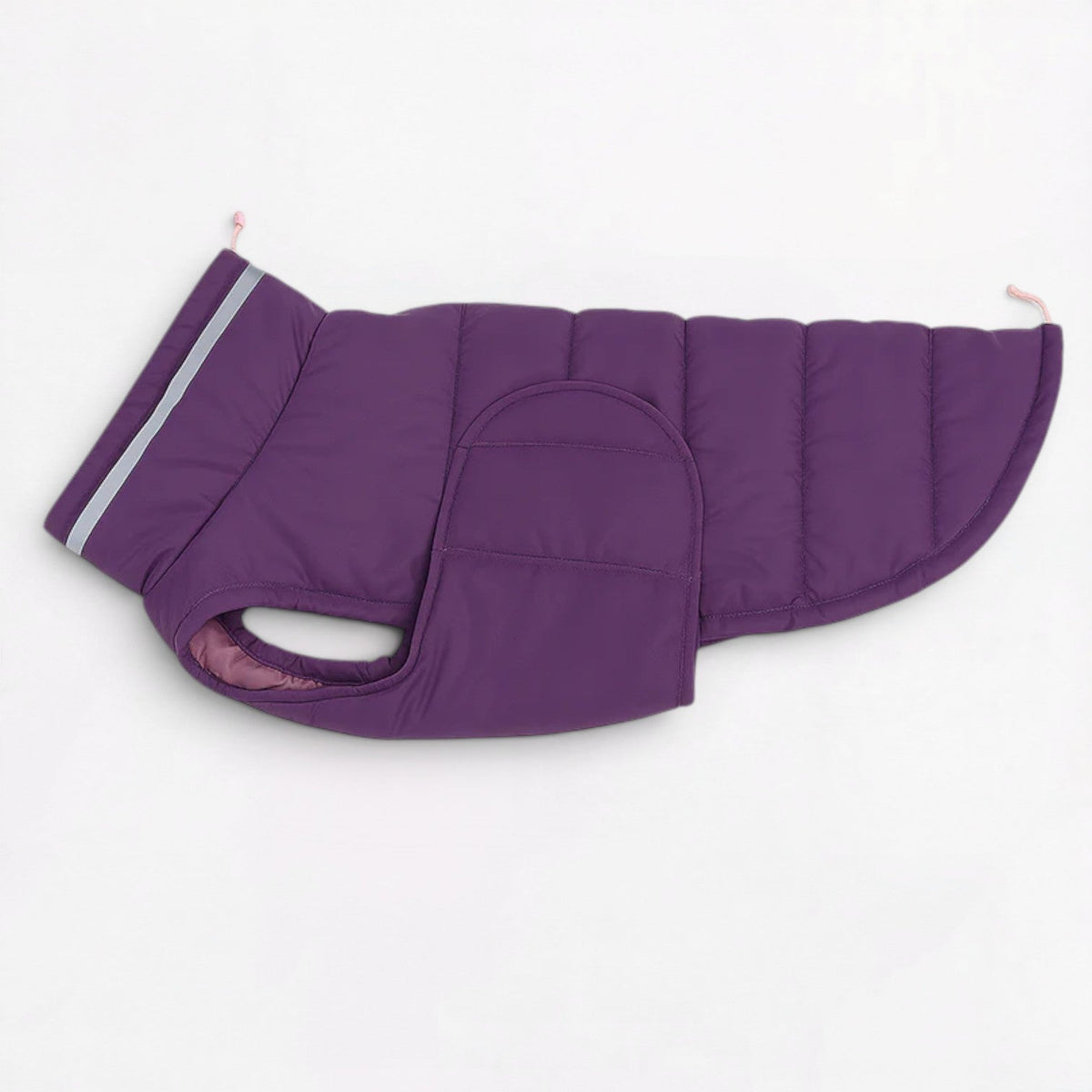 Wind-resistant padded coat for French Bulldogs in Blue