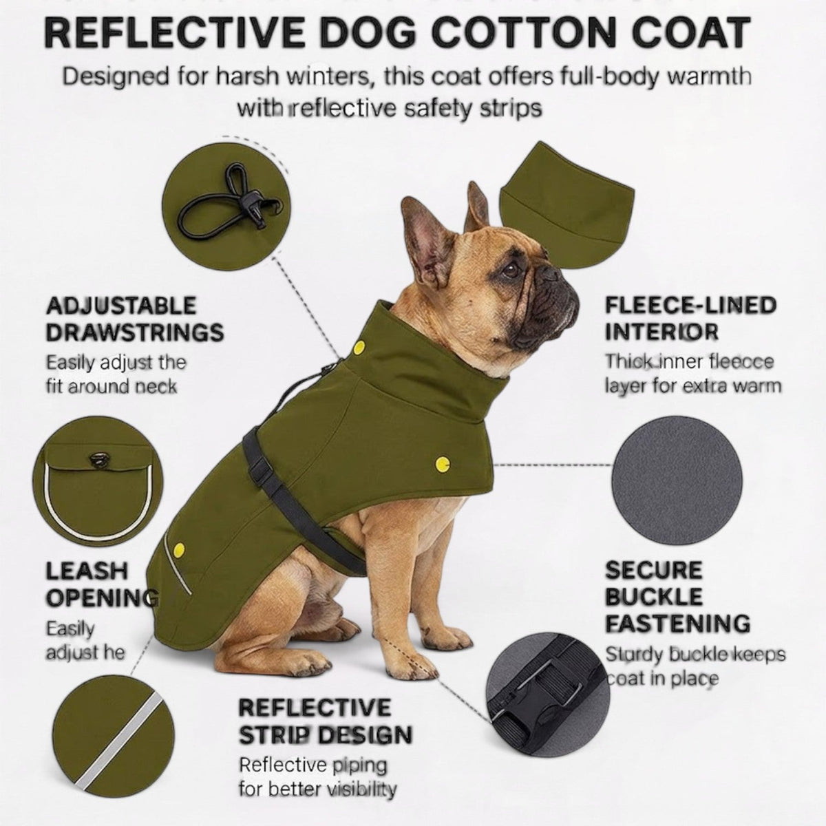 French Bulldog winter jacket with a buckle fastening and a leash opening
