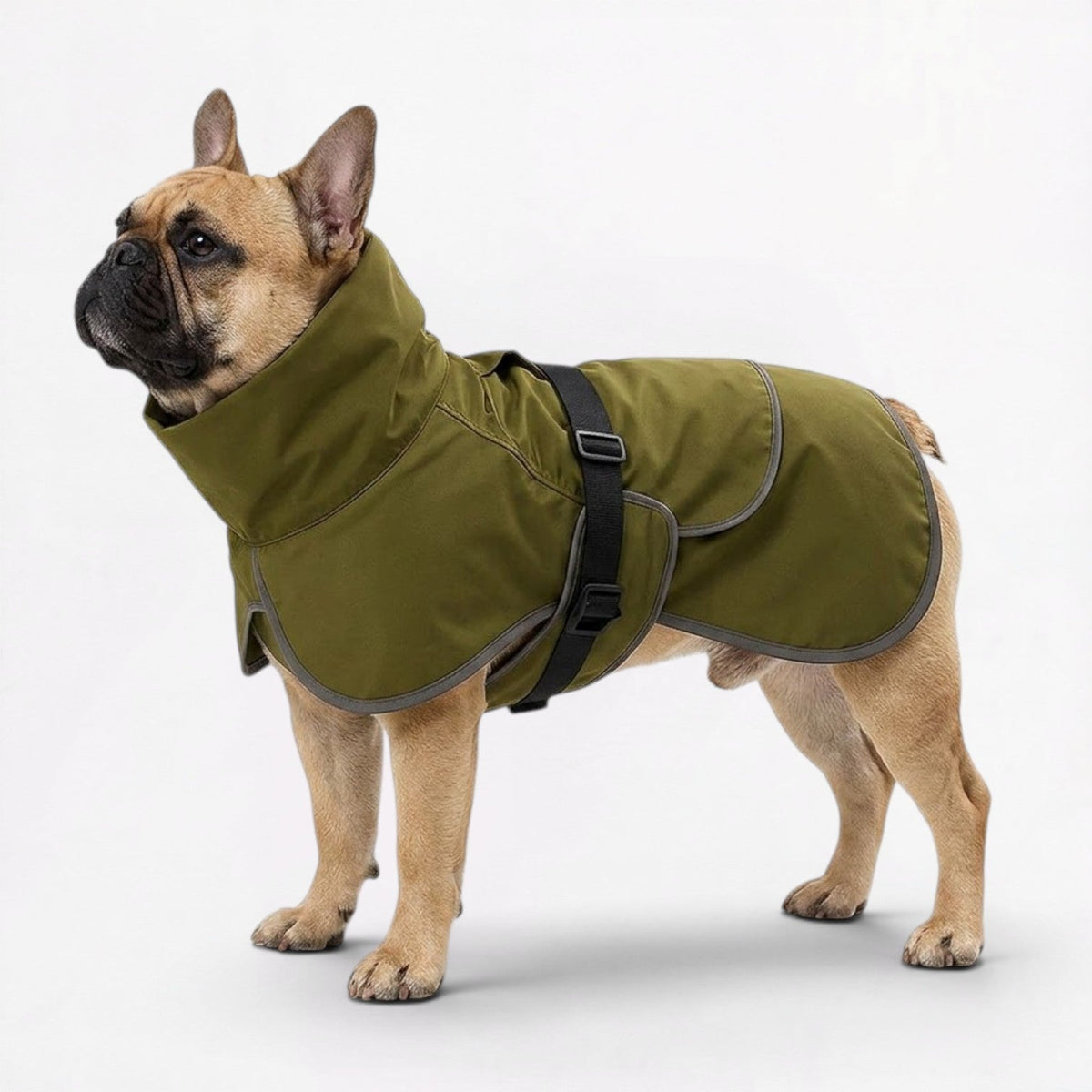 Adjustable neck drawstrings on a French Bulldog winter jacket