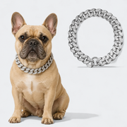 Rhinestone Cuban chain necklace for Frenchies in a glossy electroplated finish