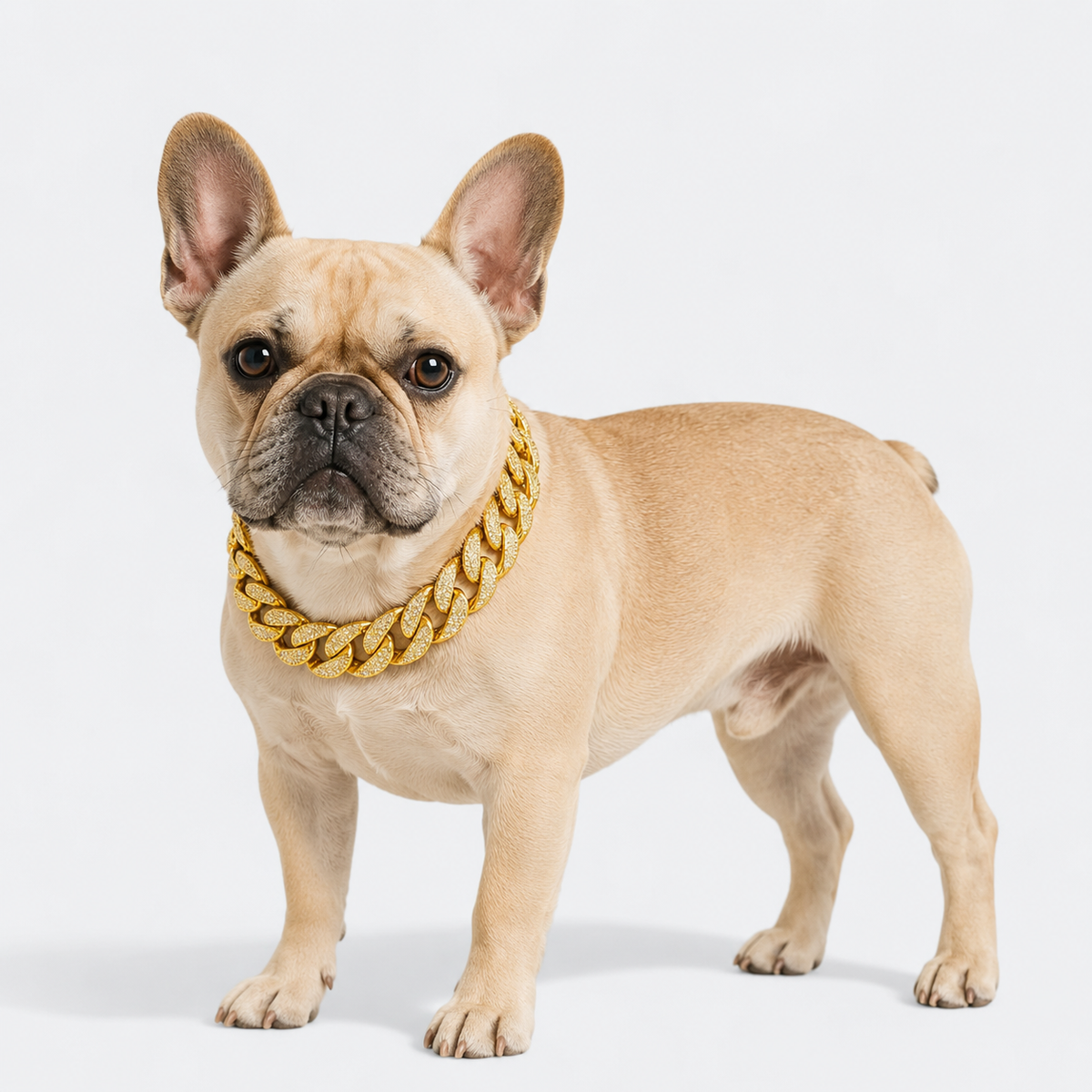 Decorative Frenchie chain necklace with a 2.4 cm wide link