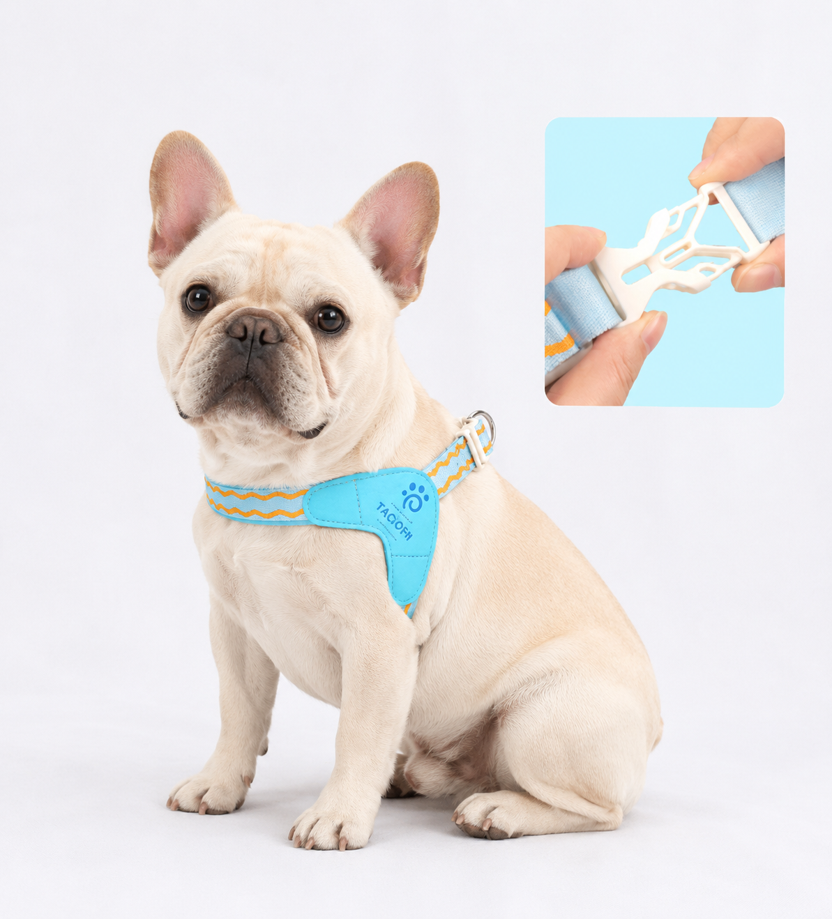 French Bulldog braided leash with a padded handle and swivel metal clasp