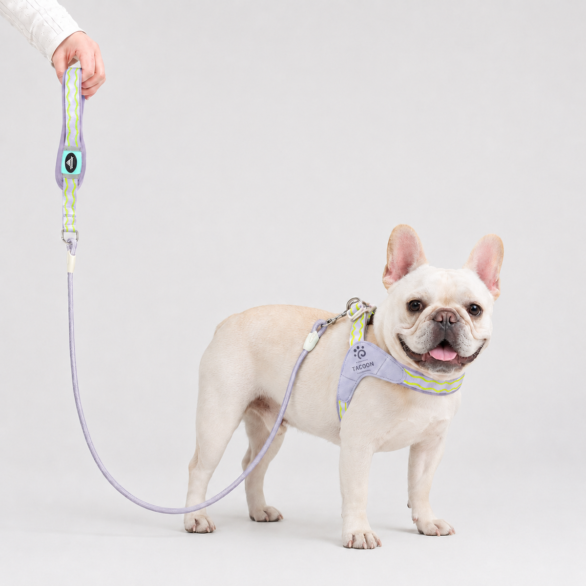French Bulldog saddle harness and braided leash set