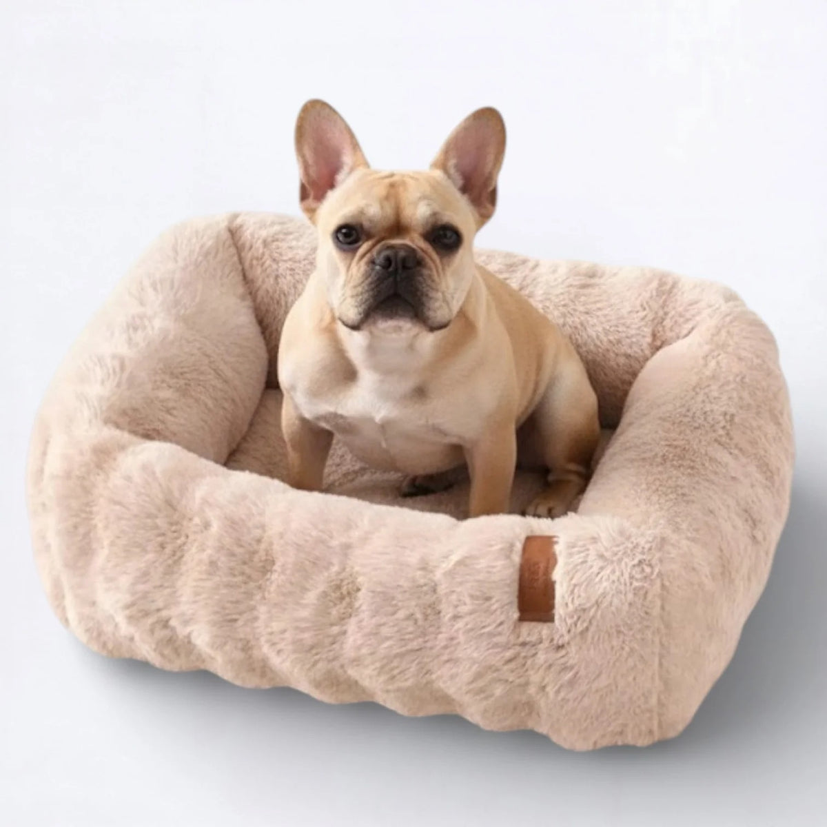 Frenchie-Semi-Enclosed-Dog-Bed.jpg