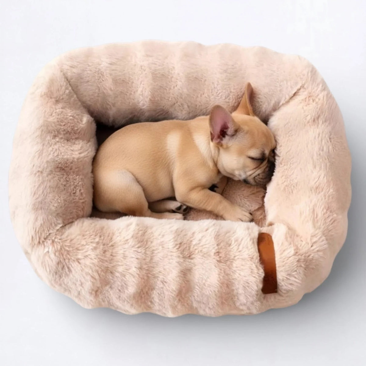 Frenchie-Semi-Enclosed-Dog-Bed.jpg