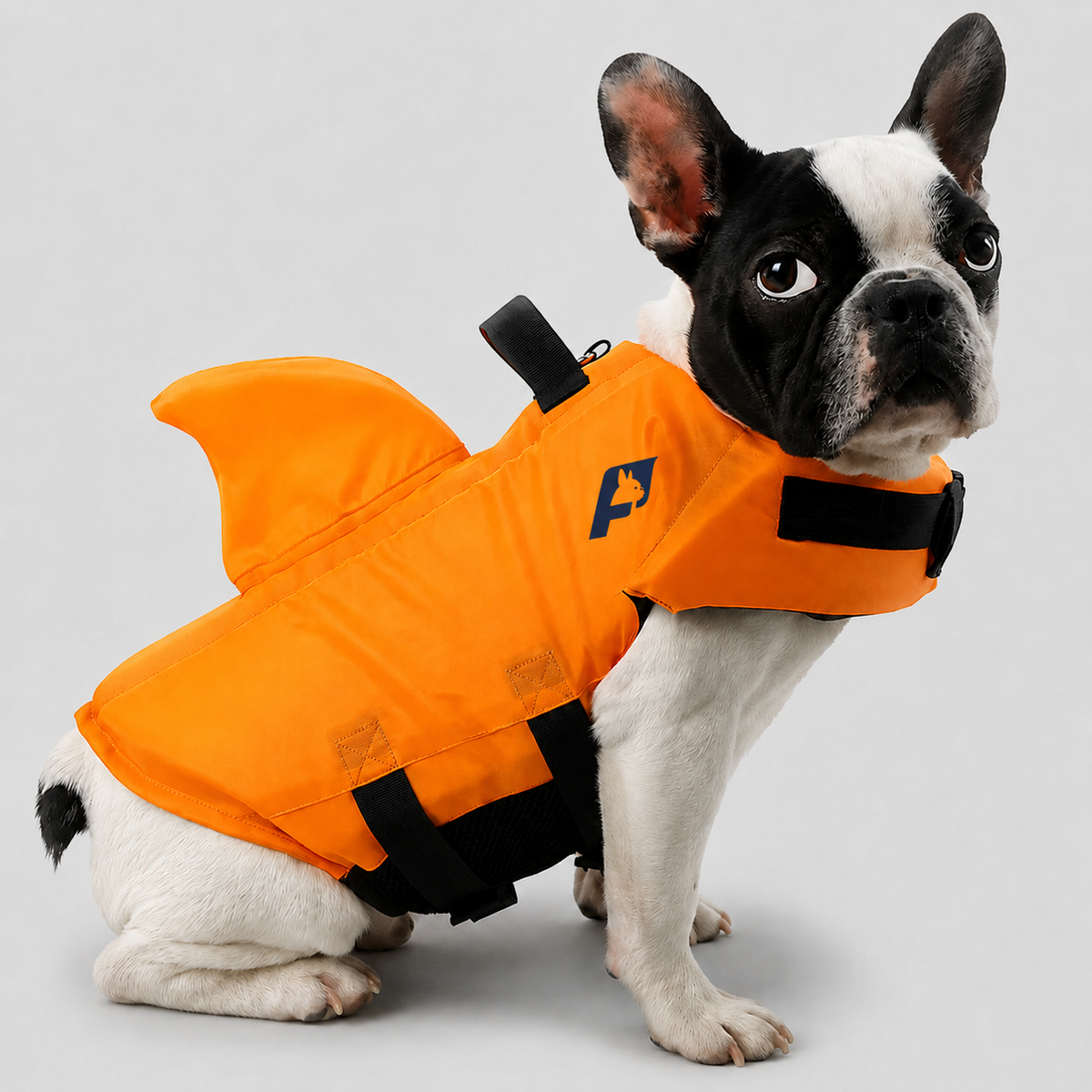French Bulldog swim vest with supportive buoyancy panels