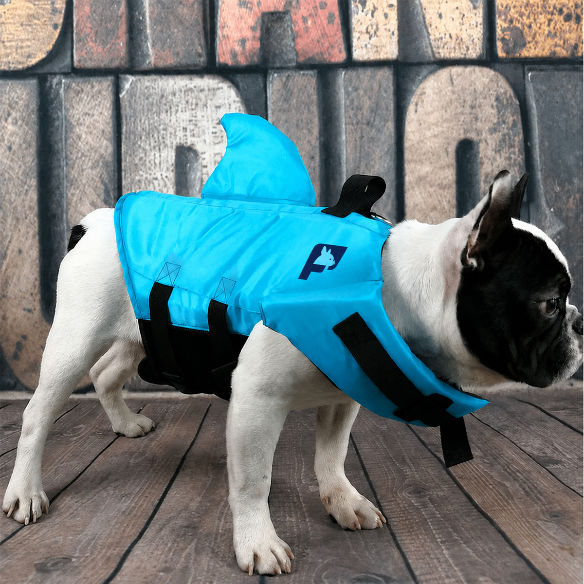 French Bulldog life vest with quick-release buckles