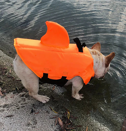 French Bulldog life vest with a wide underbelly support section