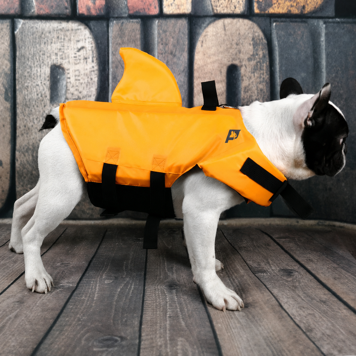 French Bulldog swim vest with supportive buoyancy panels