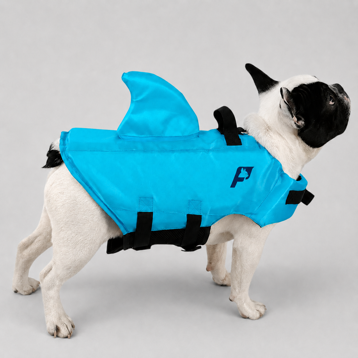 French Bulldog life vest with a shark fin and a rescue grab handle