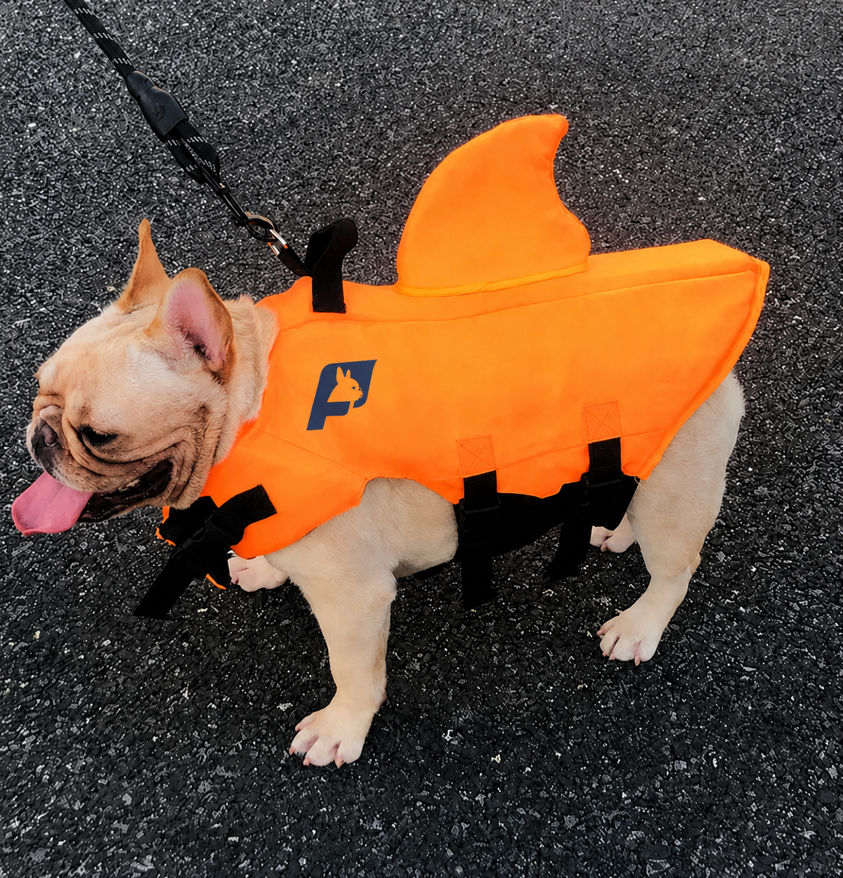 French Bulldog life vest with a shark fin and a rescue grab handle