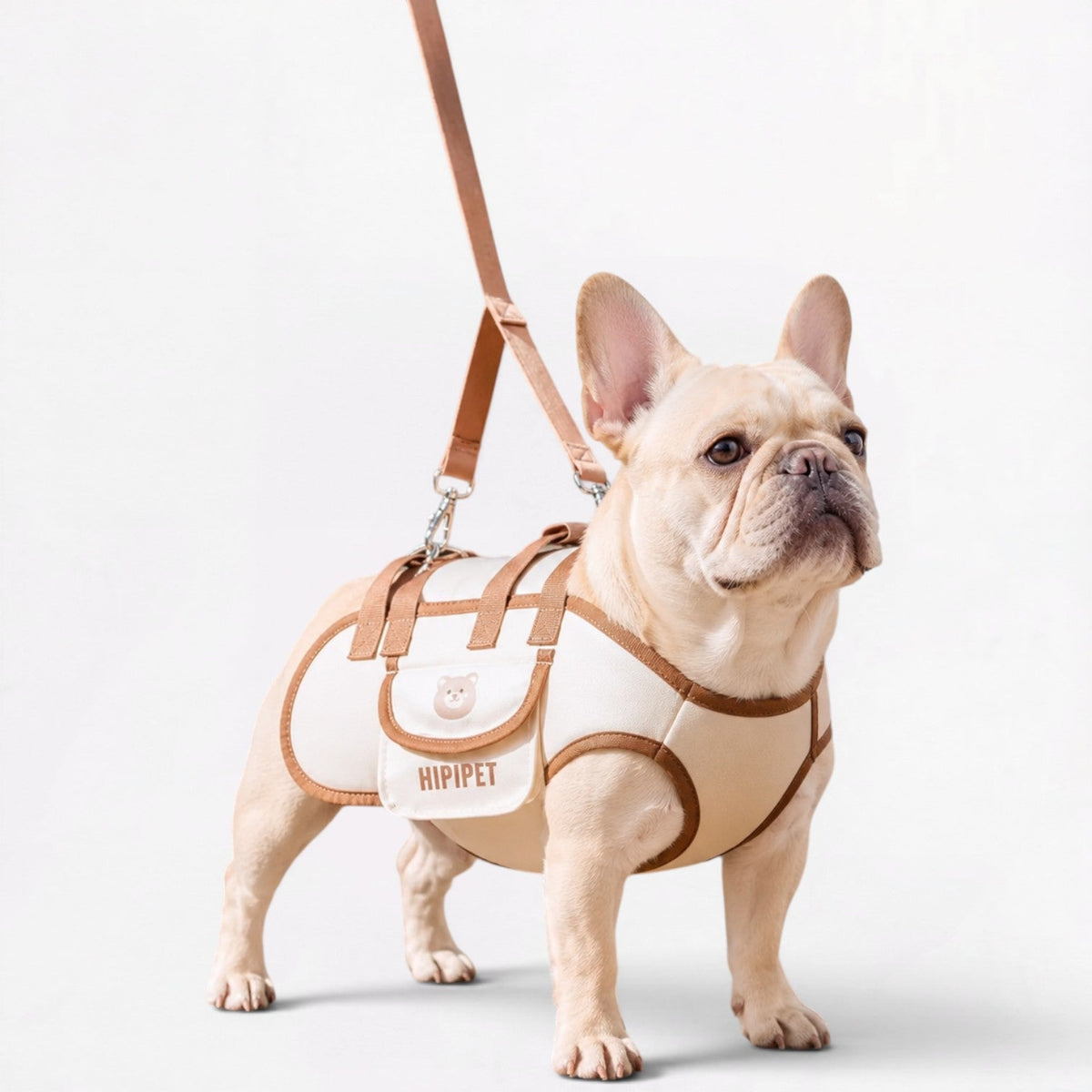 French Bulldog carrier sling with soft sponge padding