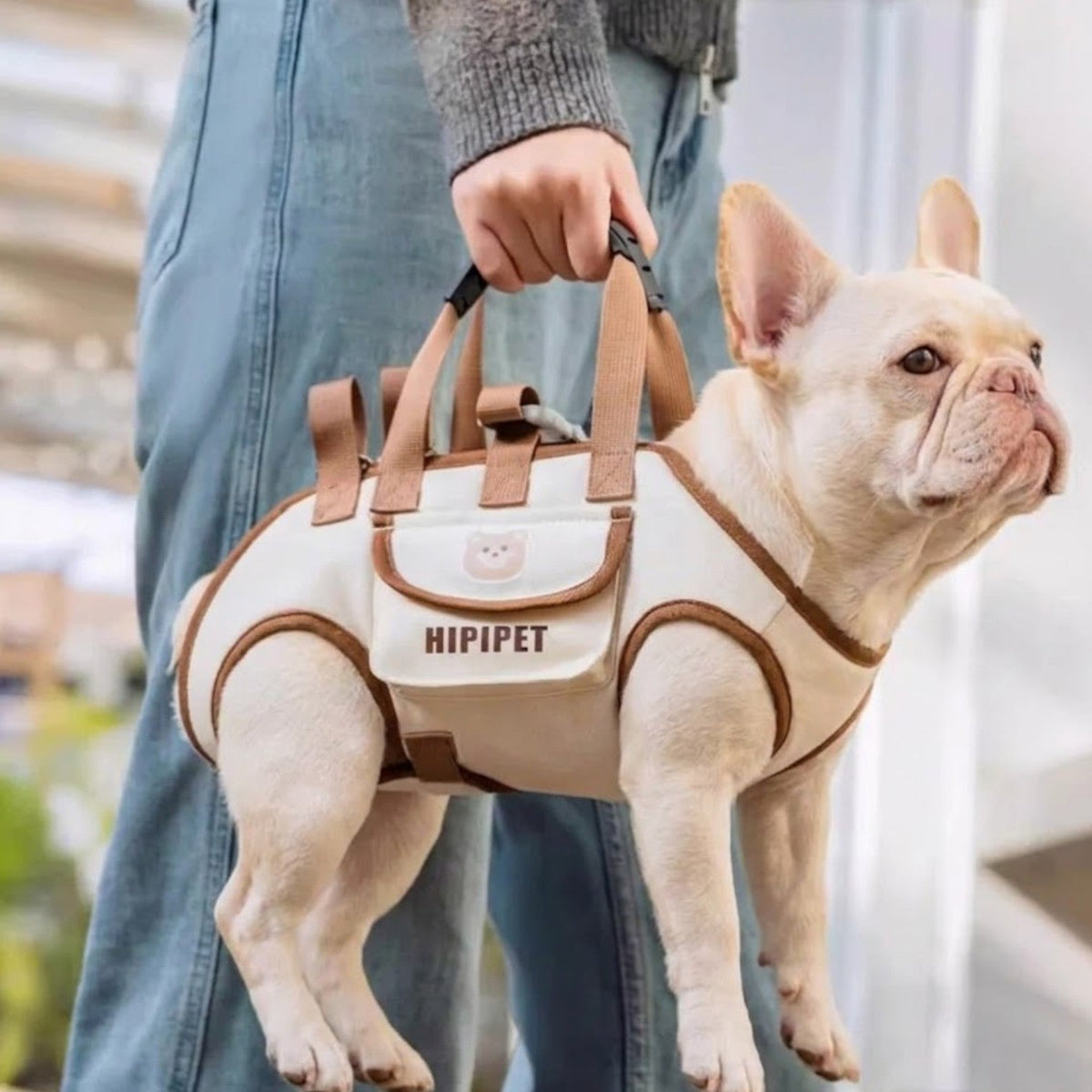 French Bulldog carrier sling with soft sponge padding