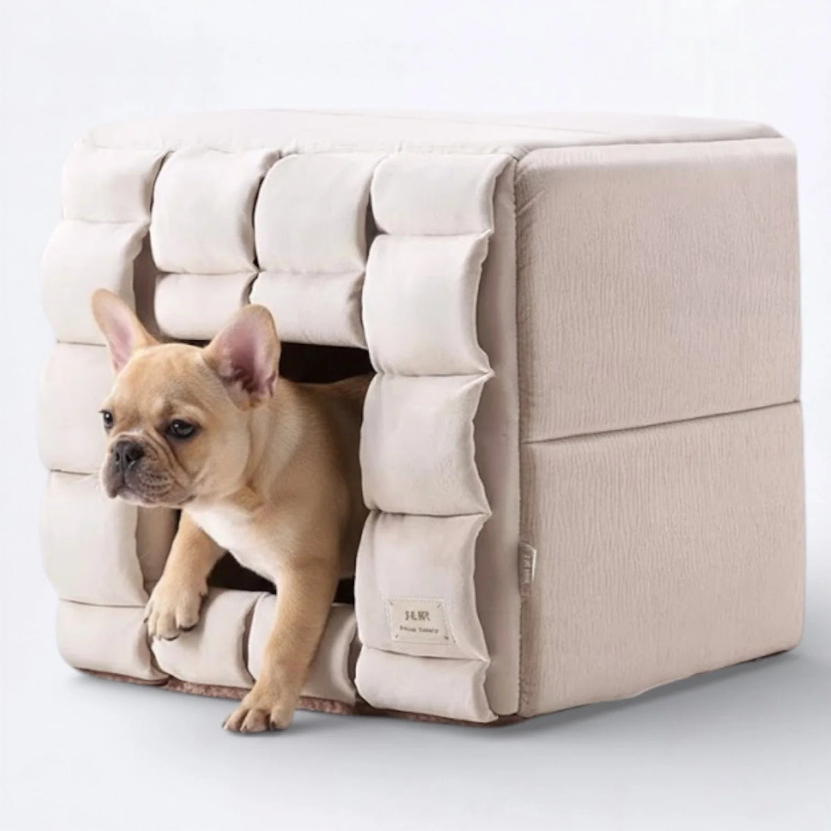Frenchie-Square-Dog-Bed-with-Cushion.jpg