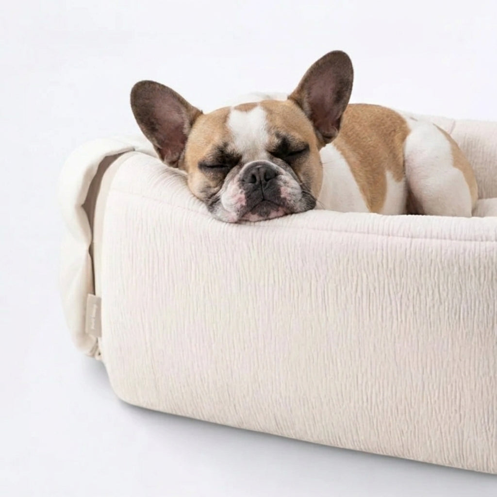 Frenchie-Square-Dog-Bed-with-Cushion.jpg