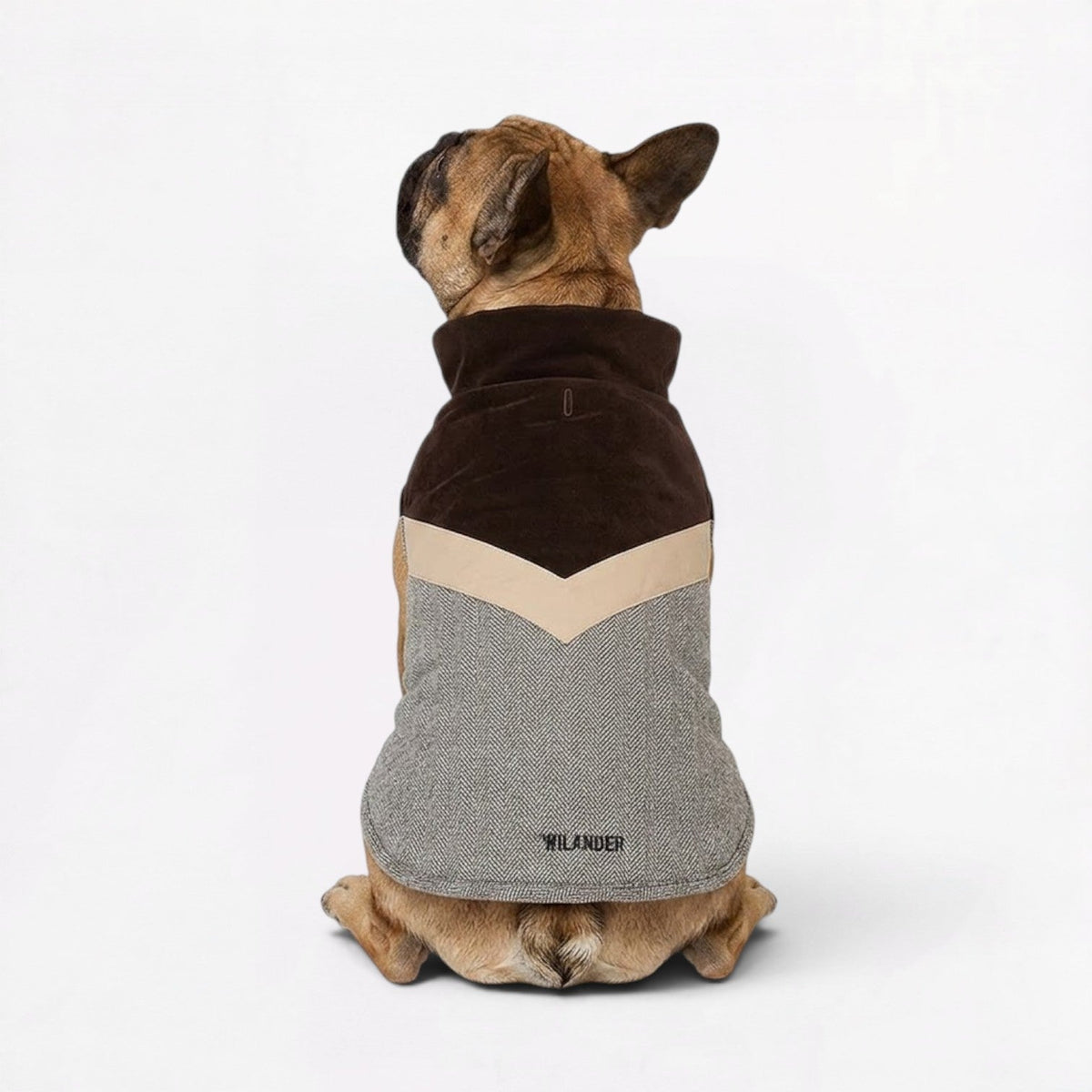 Herringbone tweed dog coat for French Bulldogs with an adjustable wrap closure