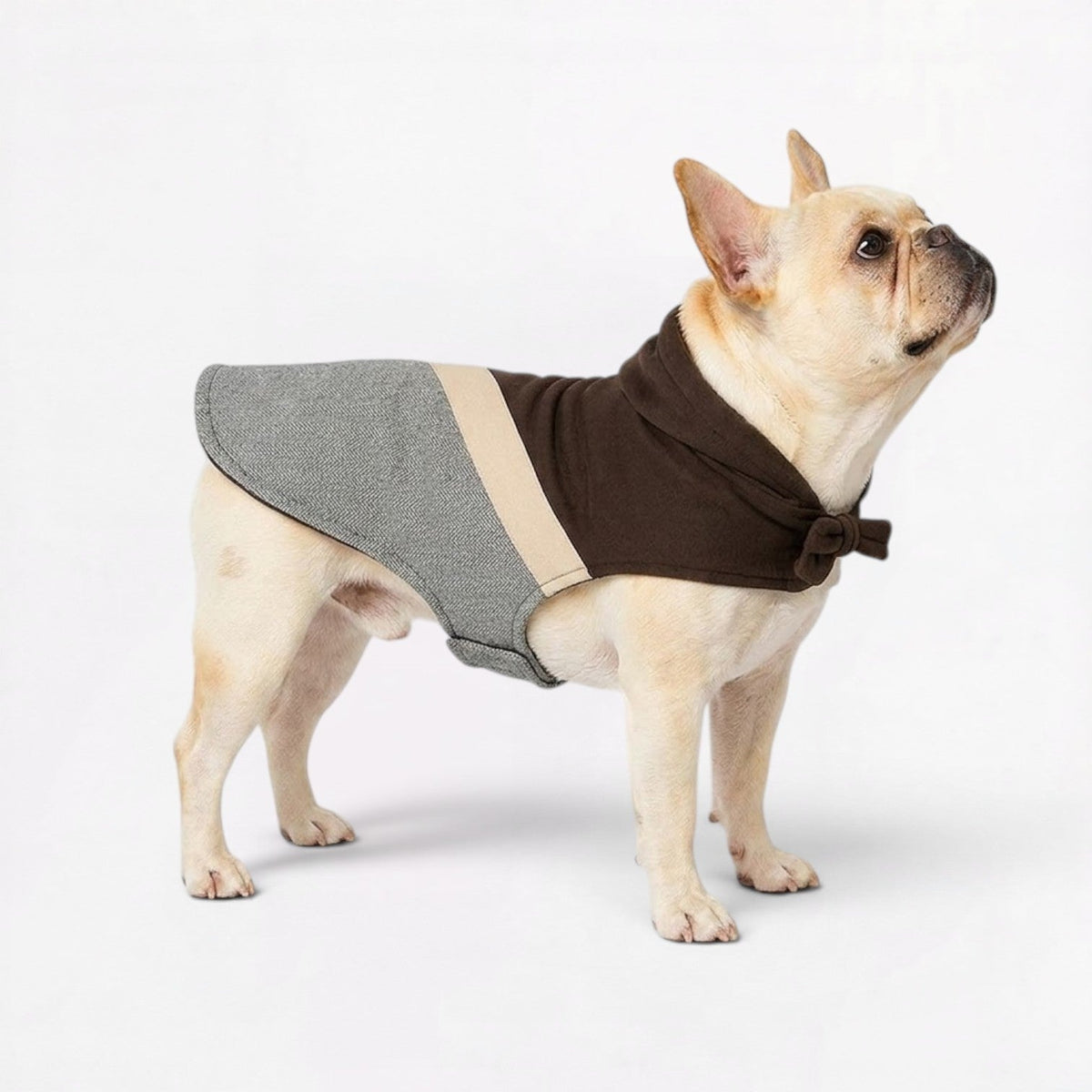 French Bulldog tweed coat with a herringbone weave and cotton inner lining