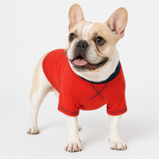 Frenchie short sleeve sweatshirt in soft breathable cotton for warm weather