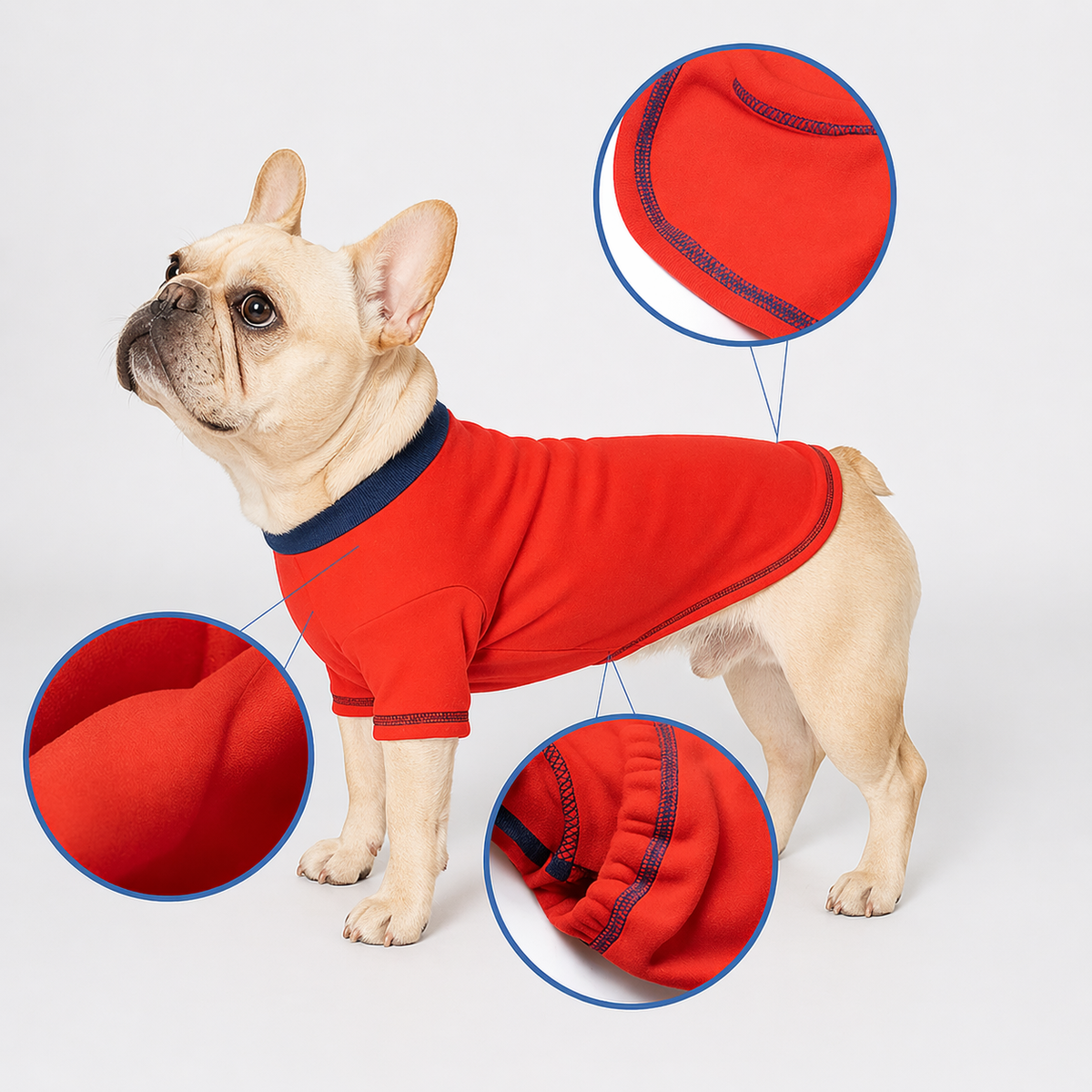 Frenchie cotton sweatshirt in sizes L to 3XL, in red, navy blue or forest green