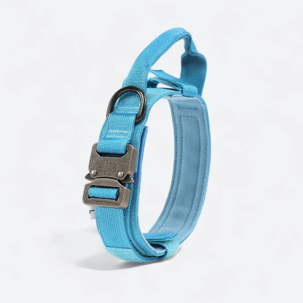 Bungee leash for French Bulldogs with reflective stitching