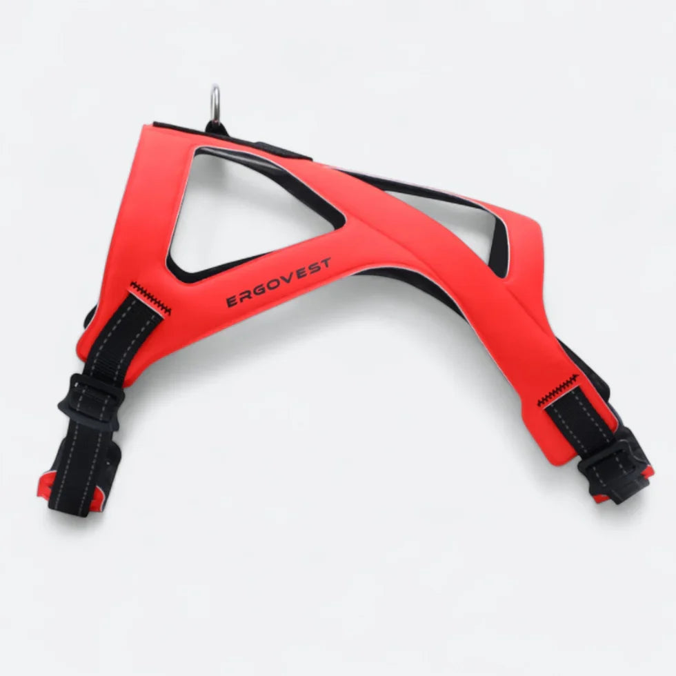 French Bulldog strap harness that leaves the back uncovered for airflow