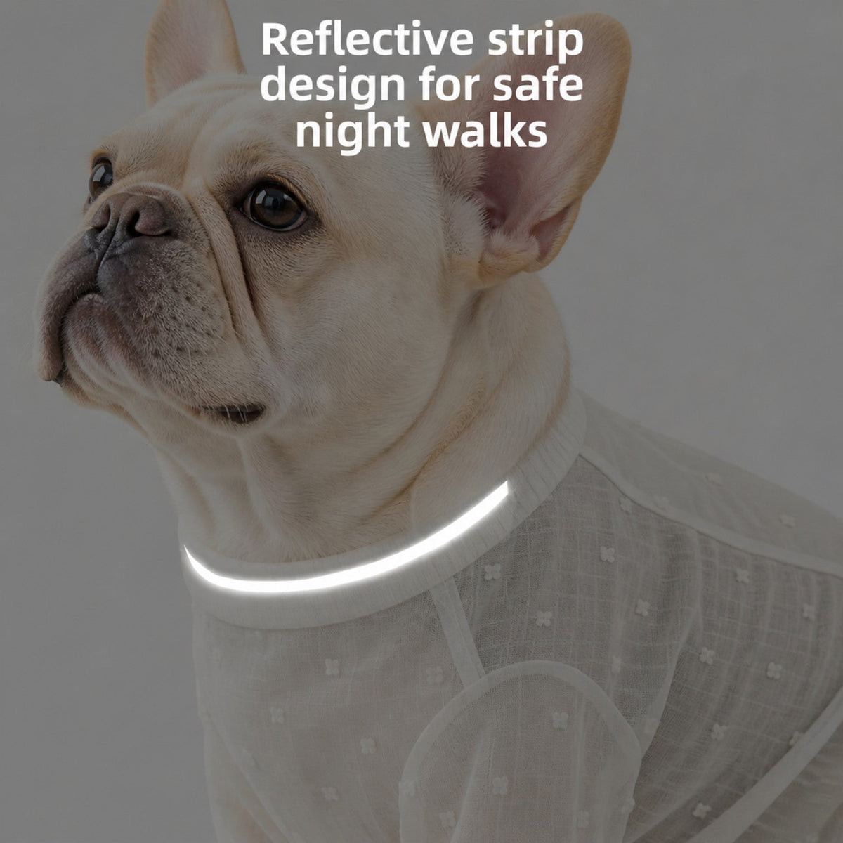 Frenchie rain jumpsuit with velcro leg straps to stop it riding up