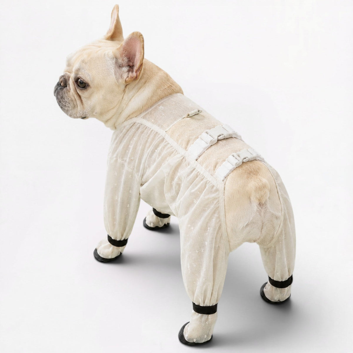 Ultra-light waterproof rain jumpsuit for Frenchies with a widened belly guard