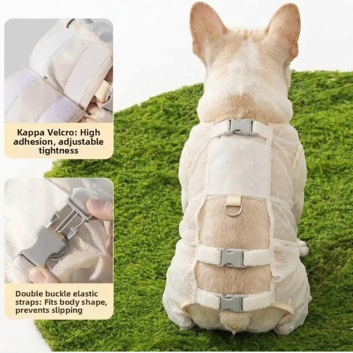 Ultra-light waterproof rain jumpsuit for Frenchies with a widened belly guard