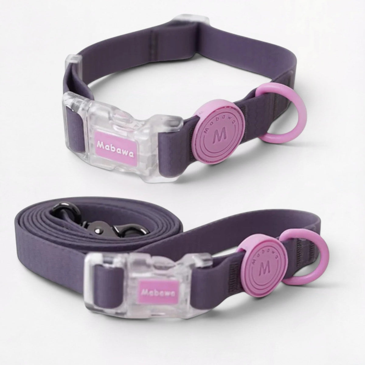 French Bulldog collar and leash with stainless steel and zinc alloy fittings